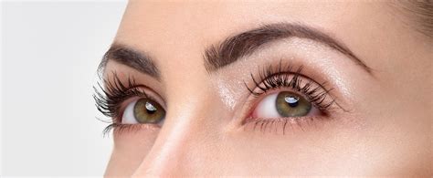 steps  longer eyelashes  enhanced brows naturally diy lash