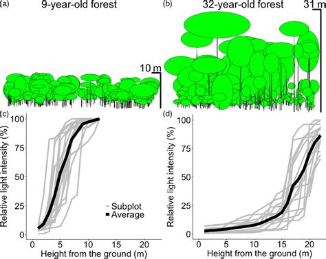 forest structure drives   light heterogeneity  tropical