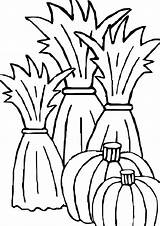 Corn Coloring Stalk Stalks Hay Bale Printable Pages Template Fall Pumpkin Clipart Drawing Mcoloring Halloween Kids Getdrawings Clipartmag sketch template