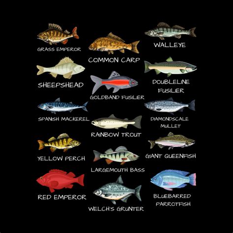 fish identification fish species biology types  freshwater fish fishing fish identification