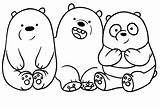 Bears Bare Coloring sketch template