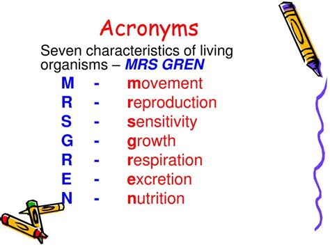 muscle anatomy acronyms