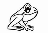 Frog Coloring Pages Color Frogs Kids Coqui Drawing Printable Sheets Easy Cartoon Clipart Drawings Tattoo Tree Cliparts Cute Print Animal sketch template