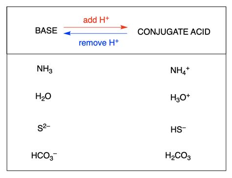 enter  conjugate base   acid