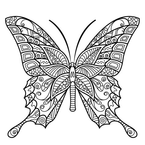 butterfly coloring book  adults insect coloring pages spring