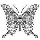 Mandala Coloring Pages Butterfly Printable Adult Adults Insect Colouring Sheets Color Books Kids Book Fairy Flower Zentangle Peaksel Save Bible sketch template