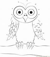 Owl Dots Dot Connect Branch Sitting Worksheet Tree Kids Printable Email Birds sketch template