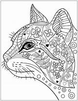 Coloring Pages Cat Animal Dog Cats Adult Adults Dogs Choose Board Colouring Sheets Kids sketch template