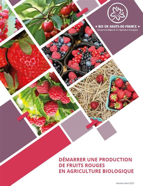 nouveau guide pour demarrer une production de fruits rouges en