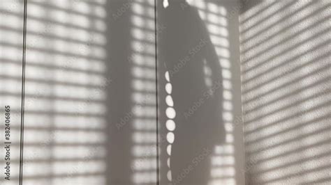 shadow of blinds and a topless woman taking off her shorts on a white