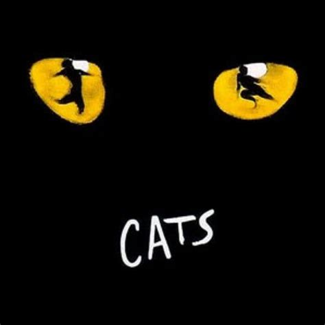 cats  musical     heres