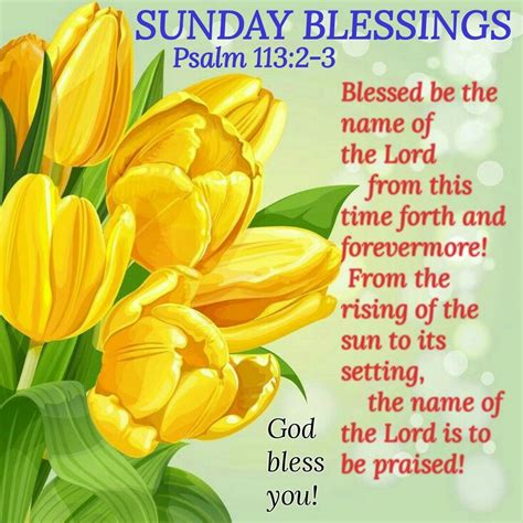 sunday blessings good morning sunday sunday quotes blessed sunday sunday blessings good morning
