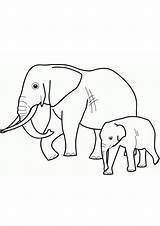 Elephant Indiaparenting sketch template