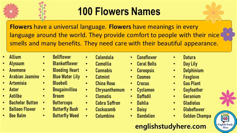 list  purple flower names