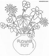 Pot Flower Coloring Pages Flowerpot Flowers Print Colorings sketch template