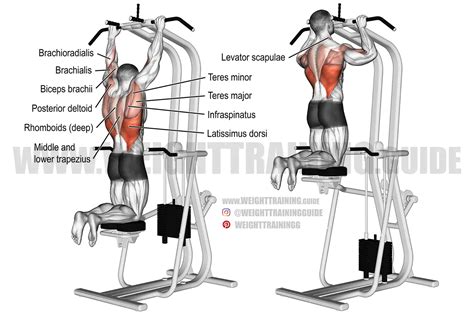 machine assisted pull  instructions  video weight training guide