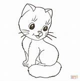 Coloring Cute Pages Kitten sketch template