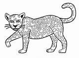 Jaguar Coloring Drawing Easy Pages Drawings Cartoon Clipartmag Getdrawings sketch template
