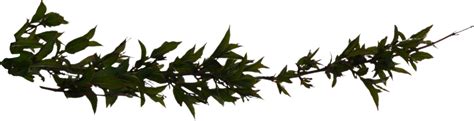 leafy treeplant branch opengameartorg