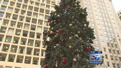 city lights chicagos christmas tree  daley plaza abc chicago