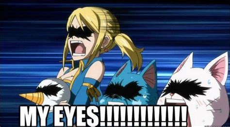 8 Funny Fairy Tail Memes Anime Fans Will Love Fairy Tail Anime Fairy