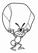 Formiga Hormiga Hormigas Piedra Ant Conseguir Ants Carregando Pedra Pintando Educación Menta Infantil Designlooter Getdrawings Nuts Tudodesenhos sketch template