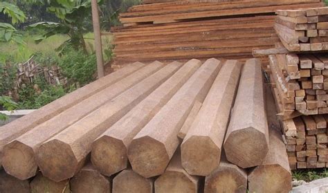 mengenal sifat  kegunaan kayu jati