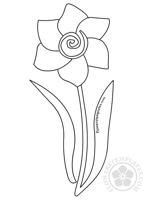 flower coloring page daffodil  leaves flowers templates