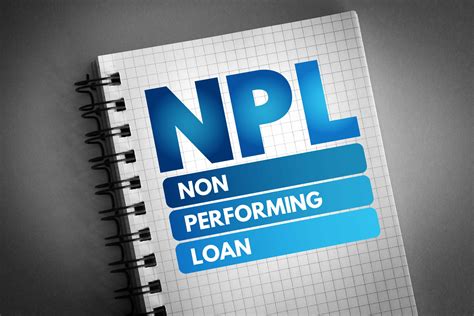 classification   performing loans meaning types   solutions loanspotio ghana