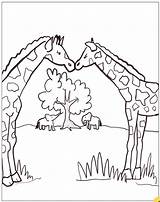 Calves Giraffe sketch template