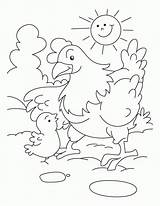 Coloring Pages Hen Chicken Chicks Chick Kids Mother Baby Drawing Printable Chickens Nugget Red Clipart Color Little Getcolorings Getdrawings Hicks sketch template