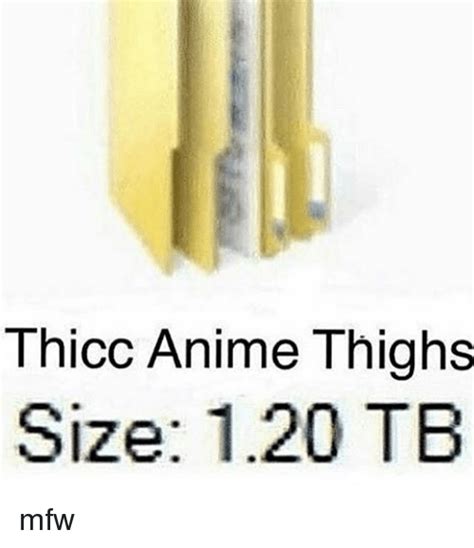 thicc anime thighs size  tb mfw anime meme  sizzle