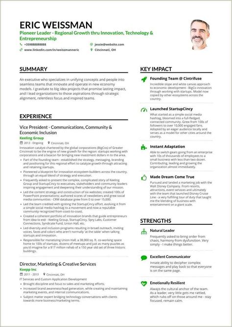 resume format  experienced marketing professionals resume