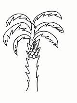 Coloring Pages Adult Tropical Printable Colouring Tree Palm Animal Challenges Preschool Choose Board sketch template