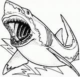 Shark Goblin Drawing Coloring Pages Printable Getdrawings sketch template