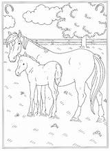 Kleurplaat Ausmalbilder Paarden Kleurplaten Veulen Paard Reitschule Manege Malvorlagen1001 Printen Malvorlage sketch template