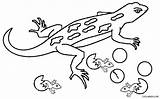 Lizard Cicak Mewarnai Eidechse Gecko Ausmalbilder Cool2bkids Eidechsen Lizards sketch template