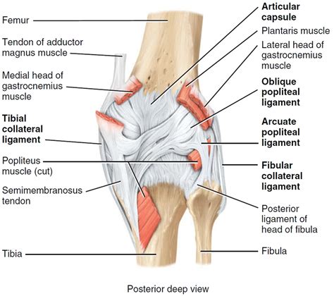 knee replacement surgery recovery time complications