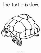 Coloring Turtle Slow Tortoise Print Ll sketch template