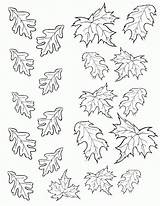 Leaves Leaf Fall Coloring Autumn Pages Template Templates Printable Outline Cake Color Print Chocolate Drawing Small Stencil Birdonacake Colouring Stencils sketch template