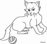Domestic Animals Coloring Pages Kids Drawing Cat Pitara Network Getdrawings sketch template