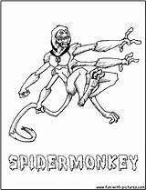 Spidermonkey sketch template