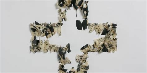le farfalle  franco pozzi atterrano alla biennale  venezia