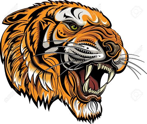 vector tigers face saber toothed tiger tattoo tiger tattoo tiger