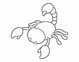 Raised Scorpion Sting Coloring Coloringcrew sketch template