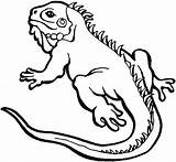 Coloring Lizard Pages Frilled Print Kids Iguana Color Reptiles Drawings Drawing Baby Getcolorings Astonishing Easy Getdrawings Printable Alpha Colouring Colornimbus sketch template