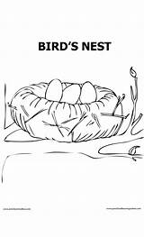 Coloring Nest Library Clipart Drawing Pages sketch template