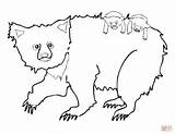 Bear Sloth Coloring Pages Cubs Mother Two Baby Printable Animals Color Drawing Supercoloring sketch template