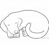 Dog Sleeping Coloring Pages Template sketch template