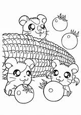 Coloring Pages Cute Hamster Kids Hamtaro Hamsters Corn Printable Cartoon Az Popular Adorable Print Coloringhome sketch template